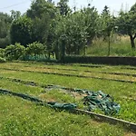 Vacanze Villa Pisano